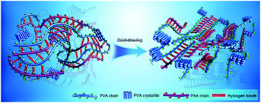 Graphical abstract: Super-strong and tough poly(vinyl alcohol)/poly(acrylic acid) hydrogels reinforced by hydrogen bonding