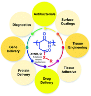 Graphical abstract: Emerging biomedical applications of polyaspartic acid-derived biodegradable polyelectrolytes and polyelectrolyte complexes