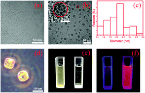 Graphical abstract: Biomimetic preparation of silicon quantum dots and their phytophysiology effect on cucumber seedlings