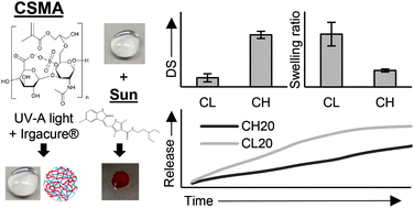 Graphical abstract: Controlling methacryloyl substitution of chondroitin sulfate: injectable hydrogels with tunable long-term drug release profiles