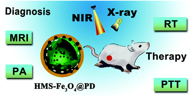 Graphical abstract: Polydopamine-coated magnetic mesoporous silica nanoparticles for multimodal cancer theranostics