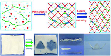 Graphical abstract: Dual physically crosslinked hydrogels based on the synergistic effects of electrostatic and dipole–dipole interactions