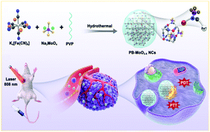 Graphical abstract: Plasmonic MoO3−x nanoparticles incorporated in Prussian blue frameworks exhibit highly efficient dual photothermal/photodynamic therapy