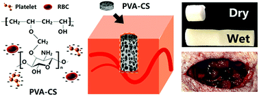 Graphical abstract: Synthetic poly(vinyl alcohol)–chitosan as a new type of highly efficient hemostatic sponge with blood-triggered swelling and high biocompatibility