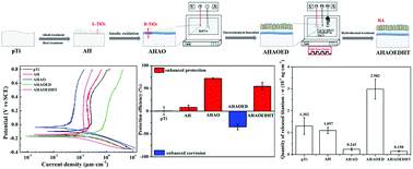 Graphical abstract: Evaluation and regulation of the corrosion resistance of macroporous titanium scaffolds with bioactive surface films for biomedical applications