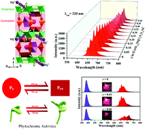 Graphical abstract: Co-substitution in Ca1−xYxAl12−xMgxO19 phosphors: local structure evolution, photoluminescence tuning and application for plant growth LEDs