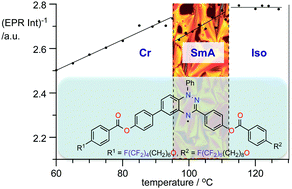 Graphical abstract: Magnetic behaviour of bent-core mesogens derived from the 1,4-dihydrobenzo[e][1,2,4]triazin-4-yl