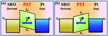 Graphical abstract: An ultrathin flexible electronic device based on the tunneling effect: a flexible ferroelectric tunnel junction