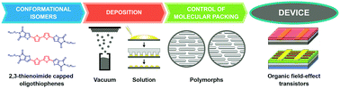 Graphical abstract: Tuning polymorphism in 2,3-thienoimide capped oligothiophene based field-effect transistors by implementing vacuum and solution deposition methods