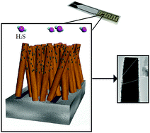 Graphical abstract: AACVD and gas sensing properties of nickel oxide nanoparticle decorated tungsten oxide nanowires