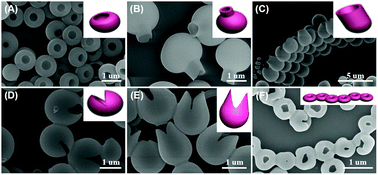 Graphical abstract: Temperature-controlled morphology evolution of porphyrin nanostructures on a hydrophobic substrate