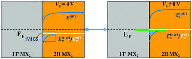 Graphical abstract: Gate-tunable interfacial properties of in-plane ML MX2 1T′–2H heterojunctions