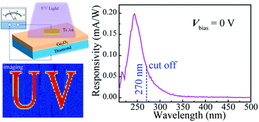 Graphical abstract: Self-powered diamond/β-Ga2O3 photodetectors for solar-blind imaging