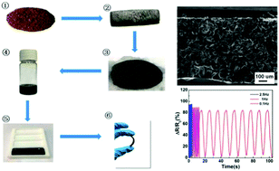 Graphical abstract: Lignin-based highly sensitive flexible pressure sensor for wearable electronics