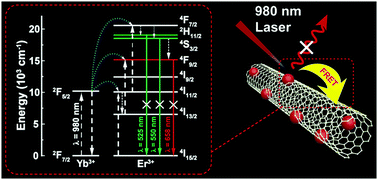 Graphical abstract: Nanocomposites of carbon nanotubes and photon upconversion nanoparticles for enhanced optical limiting performance