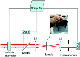 Graphical abstract: Nonlinear optical absorption and ultrafast carrier dynamics of copper antimony sulfide semiconductor nanocrystals