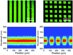 Graphical abstract: Rewritable and highly stable photonic patterns for optical storage and display enabled by direct-pressure-programmed shape memory photonic crystals