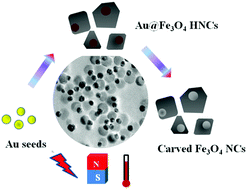 Graphical abstract: Colloidal Au/iron oxide nanocrystal heterostructures: magnetic, plasmonic and magnetic hyperthermia properties