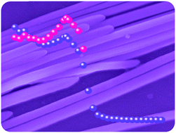 Graphical abstract: Photodetectors with ultra-high detectivity based on stabilized all-inorganic perovskite CsPb0.922Sn0.078I3 nanobelts