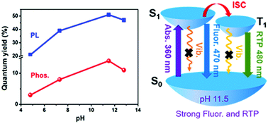 Graphical abstract: High pH-induced efficient room-temperature phosphorescence from carbon dots in hydrogen-bonded matrices