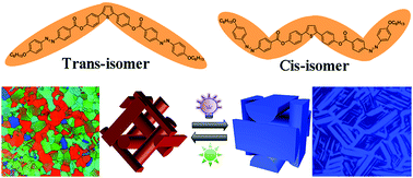 Graphical abstract: Reversible light-directed self-organized 3D liquid crystalline photonic nanostructures doped with azobenzene-functionalized bent-shaped molecules