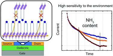 Graphical abstract: Organosilicon dimer of BTBT as a perspective semiconductor material for toxic gas detection with monolayer organic field-effect transistors