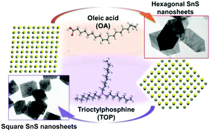 Graphical abstract: Colloidal tin sulfide nanosheets: formation mechanism, ligand-mediated shape tuning and photo-detection