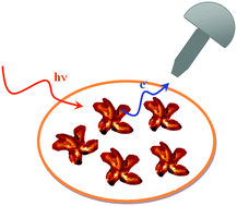 Graphical abstract: Thin film properties and stability of a potential molecular quantum bit based on copper(ii)