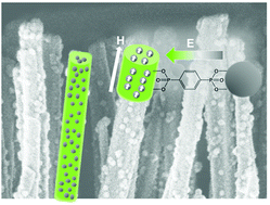 Graphical abstract: Synergistic photo optical and magnetic properties of a hybrid nanocomposite consisting of a zinc oxide nanorod array decorated with iron oxide nanoparticles