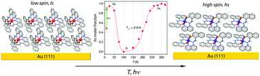 Graphical abstract: Thermal and light-induced spin transition in a nanometric film of a new high-vacuum processable spin crossover complex