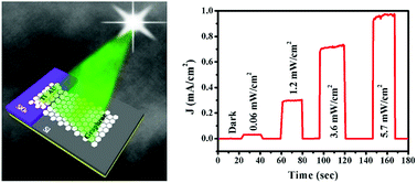 Graphical abstract: High performance, self-powered photodetectors based on a graphene/silicon Schottky junction diode