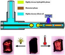Graphical abstract: Actuating thermo- and photo-responsive tubes from liquid crystalline elastomers