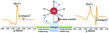 Graphical abstract: “Reversible” photochromism of polyoxomolybdate–viologen hybrids without the need for proton transfer