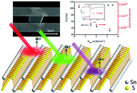 Graphical abstract: High-performance photodetectors based on two-dimensional tin(ii) sulfide (SnS) nanoflakes