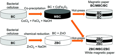Graphical abstract: White magnetic paper based on a bacterial cellulose nanocomposite