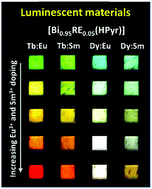 Graphical abstract: Luminescence tuning and single-phase white light emitters based on rare earth ions doped into a bismuth coordination network