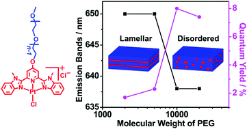 Graphical abstract: How do polymer molecular weights influence the luminescence properties of metal-containing polymers? A case study of platinum(ii) complex end-functionalized polymers