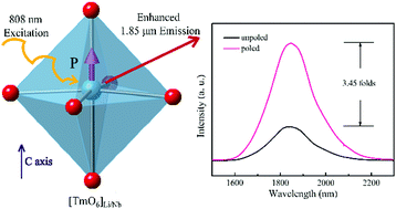 Graphical abstract: Nanoscale engineering of ionic environment for efficient mid-infrared luminescence via electric polarization
