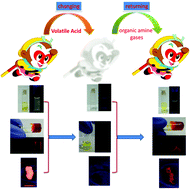 Graphical abstract: Continuous multi-channel sensing of volatile acid and organic amine gases using a fluorescent self-assembly system