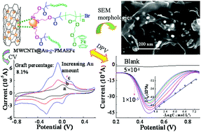 Graphical abstract: Novel multi-walled carbon nanotubes decorated with gold nanoparticles with poly(2-methacryloyloxyethyl ferrocenecarboxylate) grafted on to form organic–inorganic nanohybrids: preparation, characterization, and electrochemical sensing applications