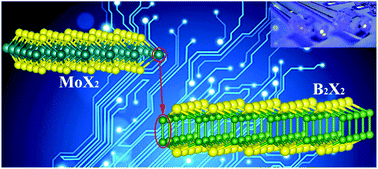 Graphical abstract: 2D boron dichalcogenides from the substitution of Mo with ionic B2 pair in MoX2 (X = S, Se and Te): high stability, large excitonic effect and high charge carrier mobility