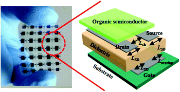 Graphical abstract: Recent progress in printable organic field effect transistors