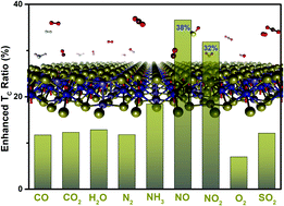 Graphical abstract: Remarkably enhanced ferromagnetism in a super-exchange governed Cr2Ge2Te6 monolayer via molecular adsorption