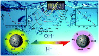 Graphical abstract: An ultrafast responsive and sensitive ratiometric fluorescent pH nanoprobe based on label-free dual-emission carbon dots