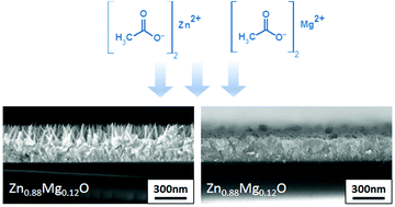 Graphical abstract: Influence of the aqueous solution composition on the morphology of Zn1−xMgxO films deposited by spray pyrolysis