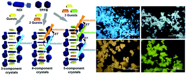 Graphical abstract: Flexible-color tuning and white-light emission in three-, four-, and five-component host/guest co-crystals by charge-transfer emissions as well as effective energy transfers