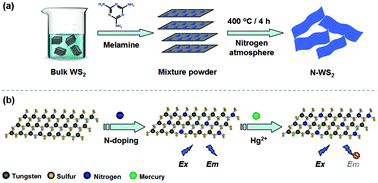 Graphical abstract: Synthesis of fluorescent tungsten disulfide by nitrogen atom doping and its application for mercury(ii) detection