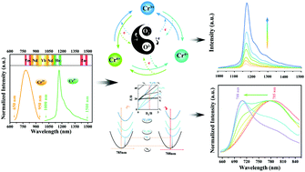 Graphical abstract: Selective self-redox and crystal field modulation for enhanced and tuned broadband emission in chromium-doped aluminate glasses