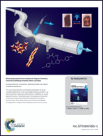 Graphical abstract: Back cover