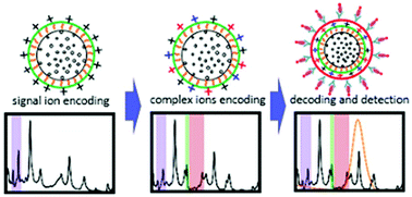 Graphical abstract: Ion-chelation based digital barcodes for multiplexing of a suspension array